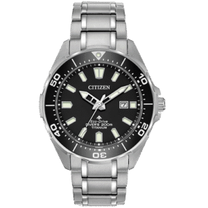 citizen promaster diver